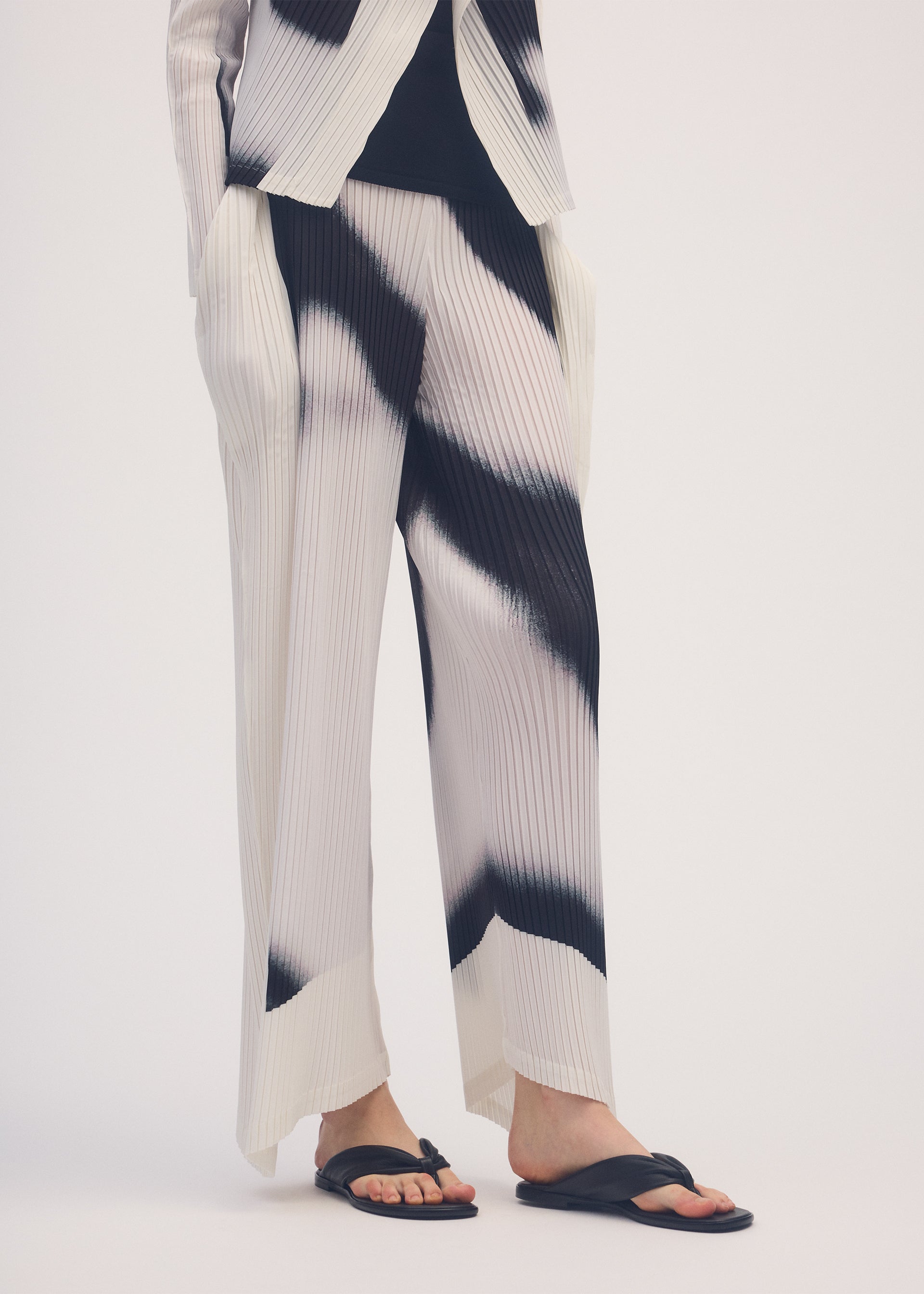 SHADOW STUDY PLEATS
