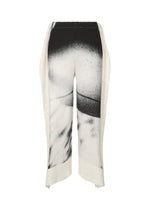 SHADOW STUDY PLEATS