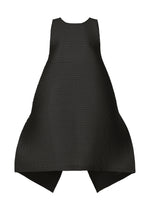 PANELED PLEATS