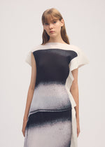 SHADOW STUDY PLEATS