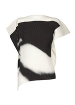SHADOW STUDY PLEATS