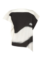 SHADOW STUDY PLEATS