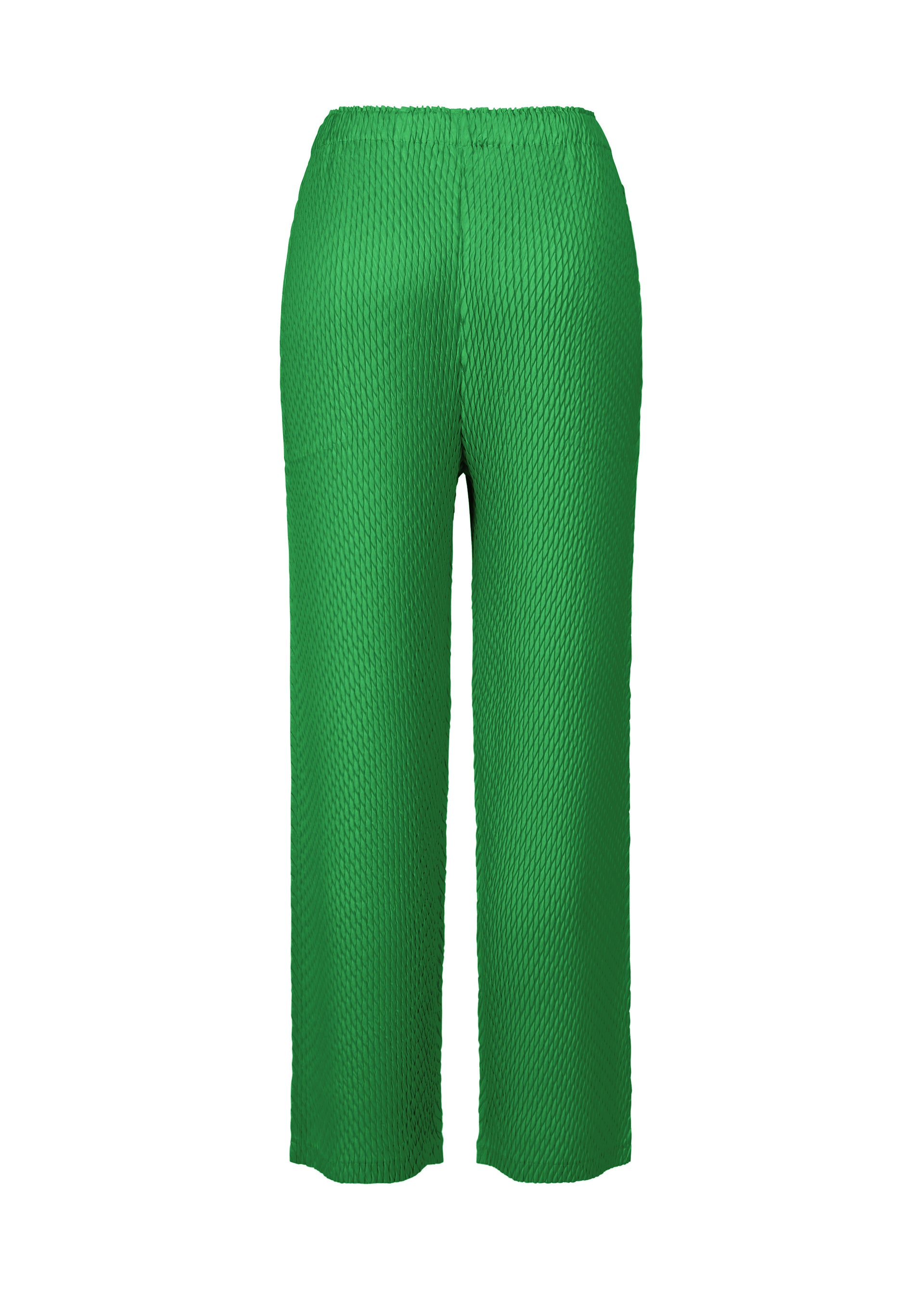 Zoomed view SLEEK PLEATS