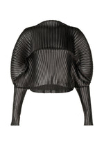 GLOSSED METAL PLEATS