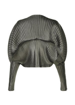 GLOSSED METAL PLEATS