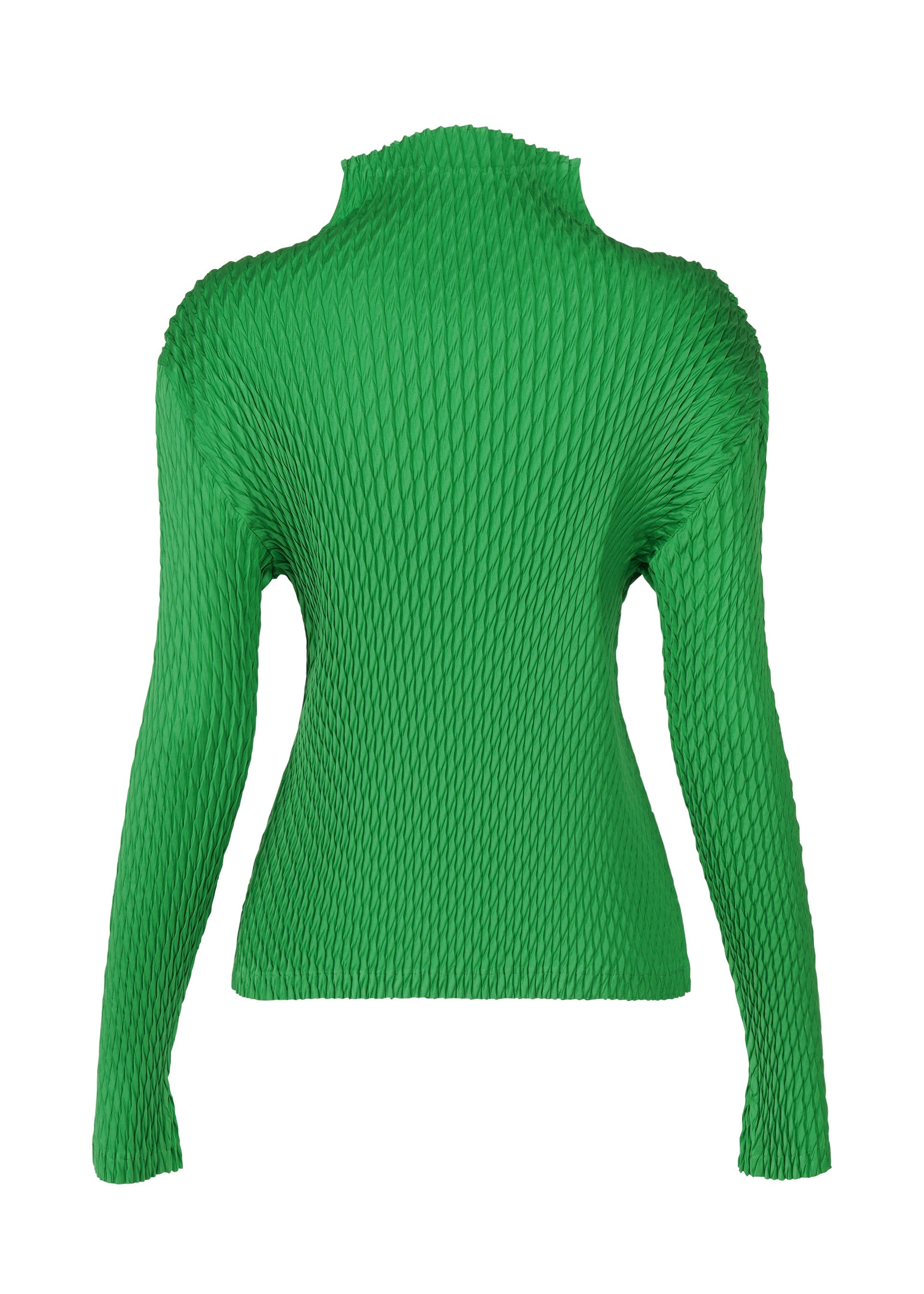 Zoomed view SLEEK PLEATS