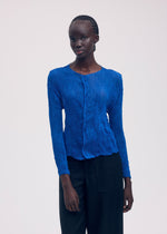 CHIFFON TWIST 2