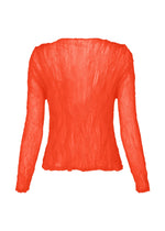 CHIFFON TWIST 2