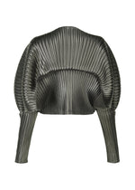 GLOSSED METAL PLEATS