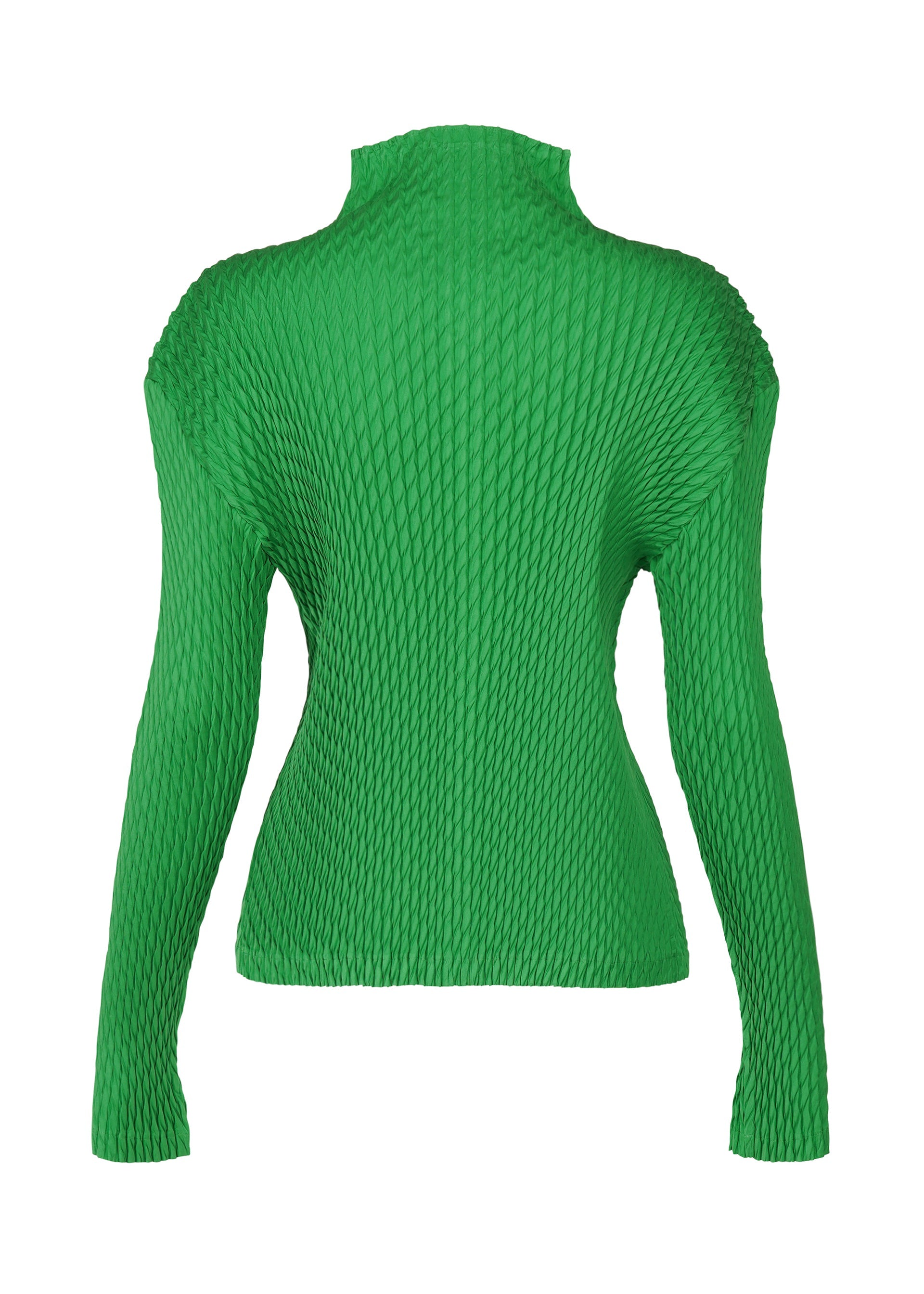 Zoomed view SLEEK PLEATS