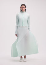 FOLD PLEATS