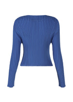 FOLD PLEATS