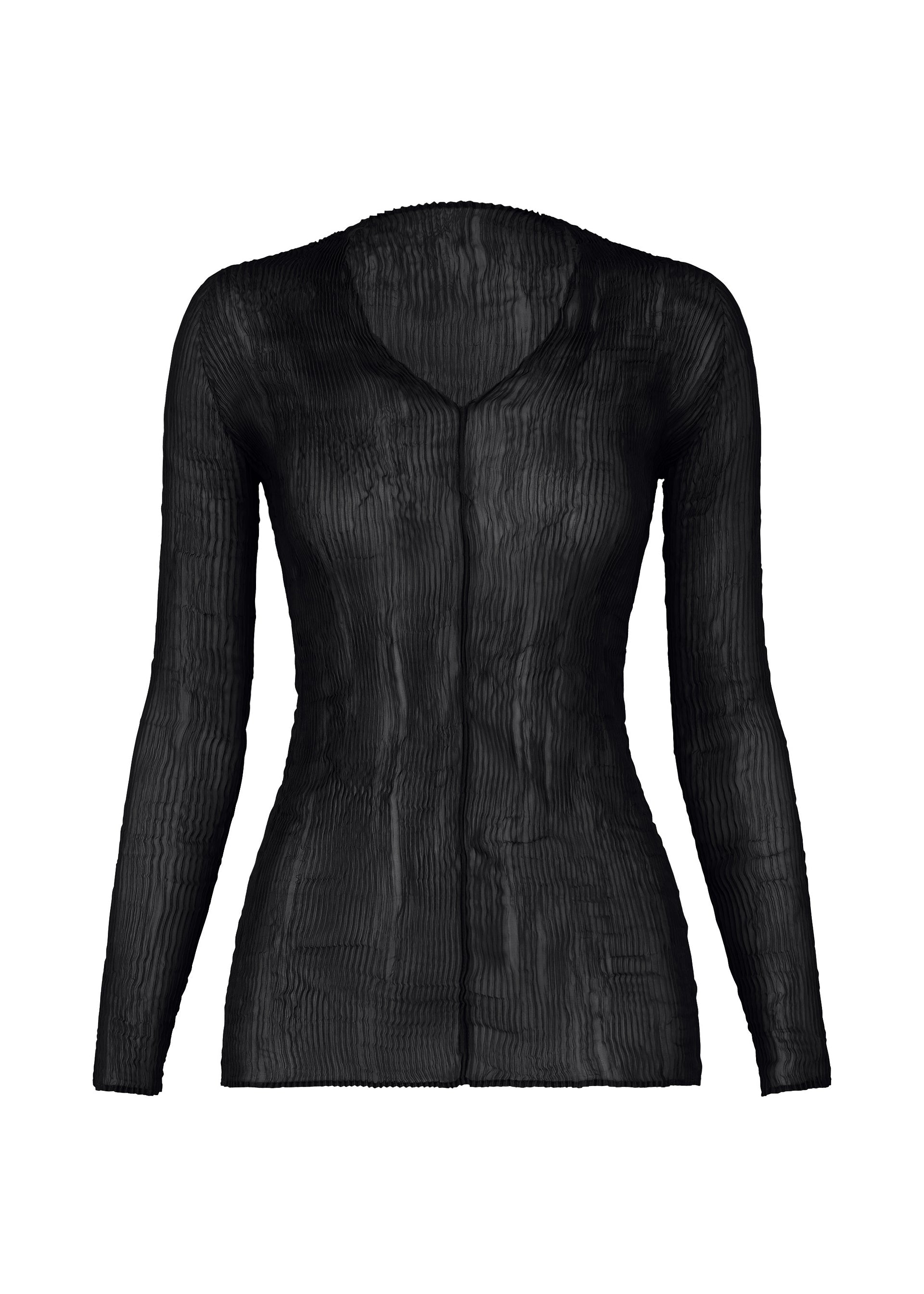 Zoomed view The ISSEY MIYAKE CHIFFON TWIST BK/WT-66 is a sheer black pleated long-sleeved top with a slightly fitted silhouette, crafted from recycled polyester and shown against a white background. - BLACK （no.15）