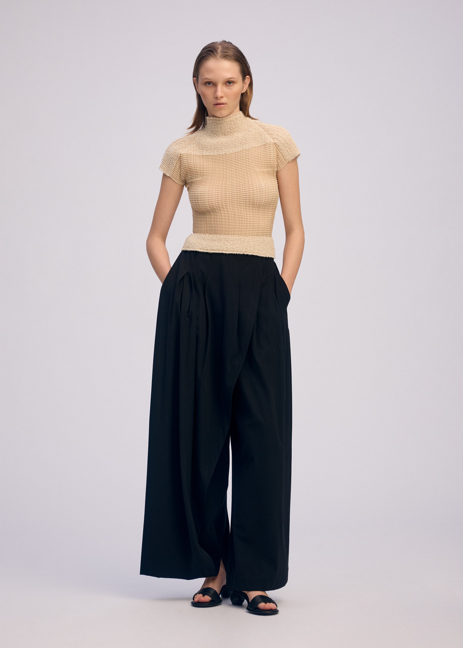 Zoomed view A woman with a neutral expression stands against a light background wearing ISSEY MIYAKE's SHEER FUZZY PLEATS: a beige French-sleeved high-neck top, black wide-leg high-waisted pants, and black open-toe sandals, hands in pockets.