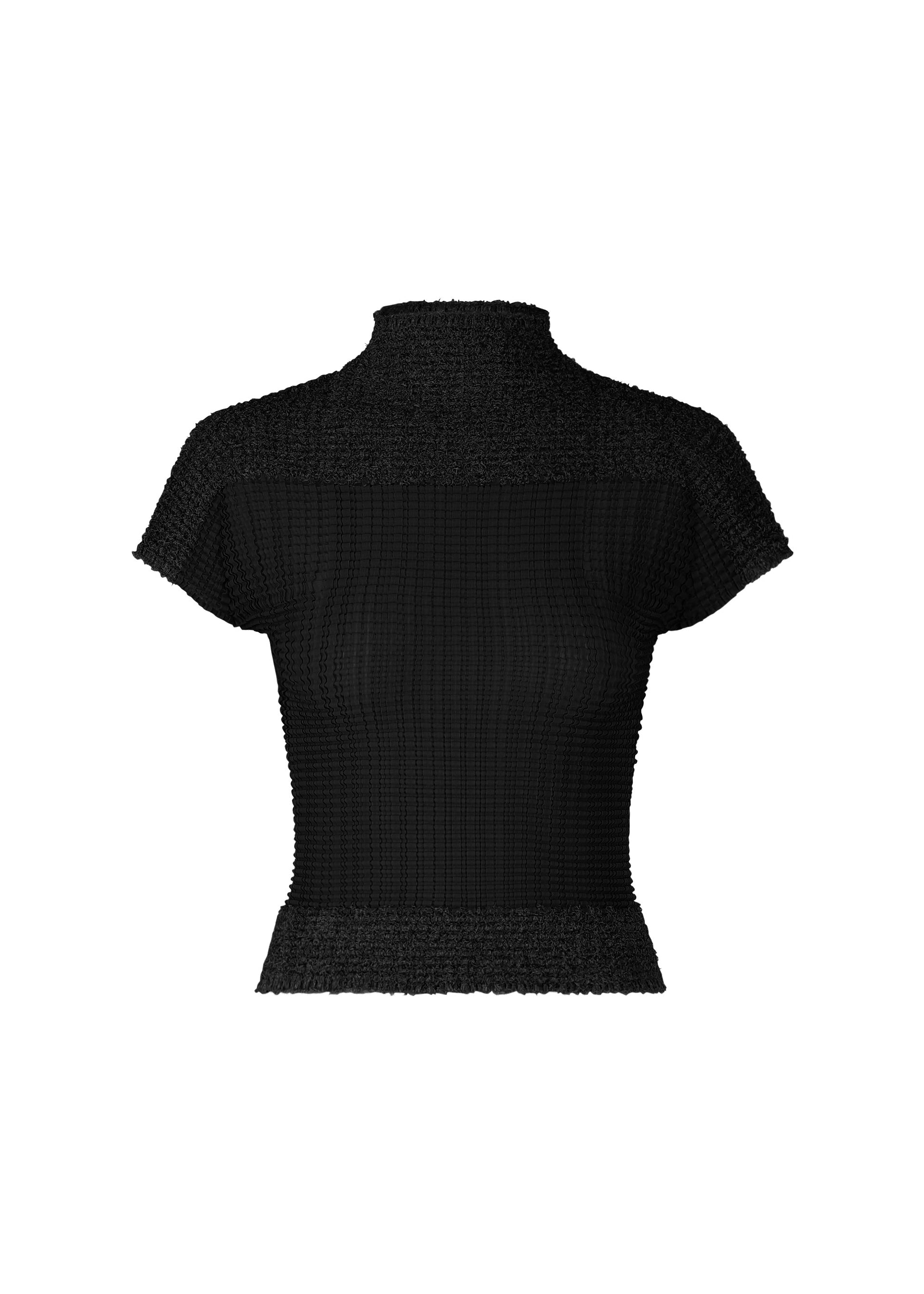 Zoomed view The SHEER FUZZY PLEATS by ISSEY MIYAKE is a black French-sleeved, high-neck top made from textured cut-pile fabric. Its fitted shape and slightly flared hem offer a modern style, shown against a white background. - BLACK （no.15）