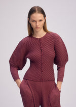 A woman with straight, light brown hair wears the glossy plum SLEEK PLEATS long-sleeve button-up top and matching pants by ISSEY MIYAKE, standing with her hands in her pockets against a plain light background.