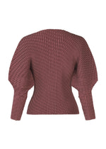 The SLEEK PLEATS top by ISSEY MIYAKE features glossy mauve pleats, ribbed texture, and voluminous long sleeves, shown from the back.