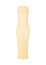 The ISSEY MIYAKE SLITS MESH AP is a sleeveless, form-fitting sheer beige mesh dress with a high mock neck and minimalist design, displayed on a white background. - EGG BEIGE （no.49）
