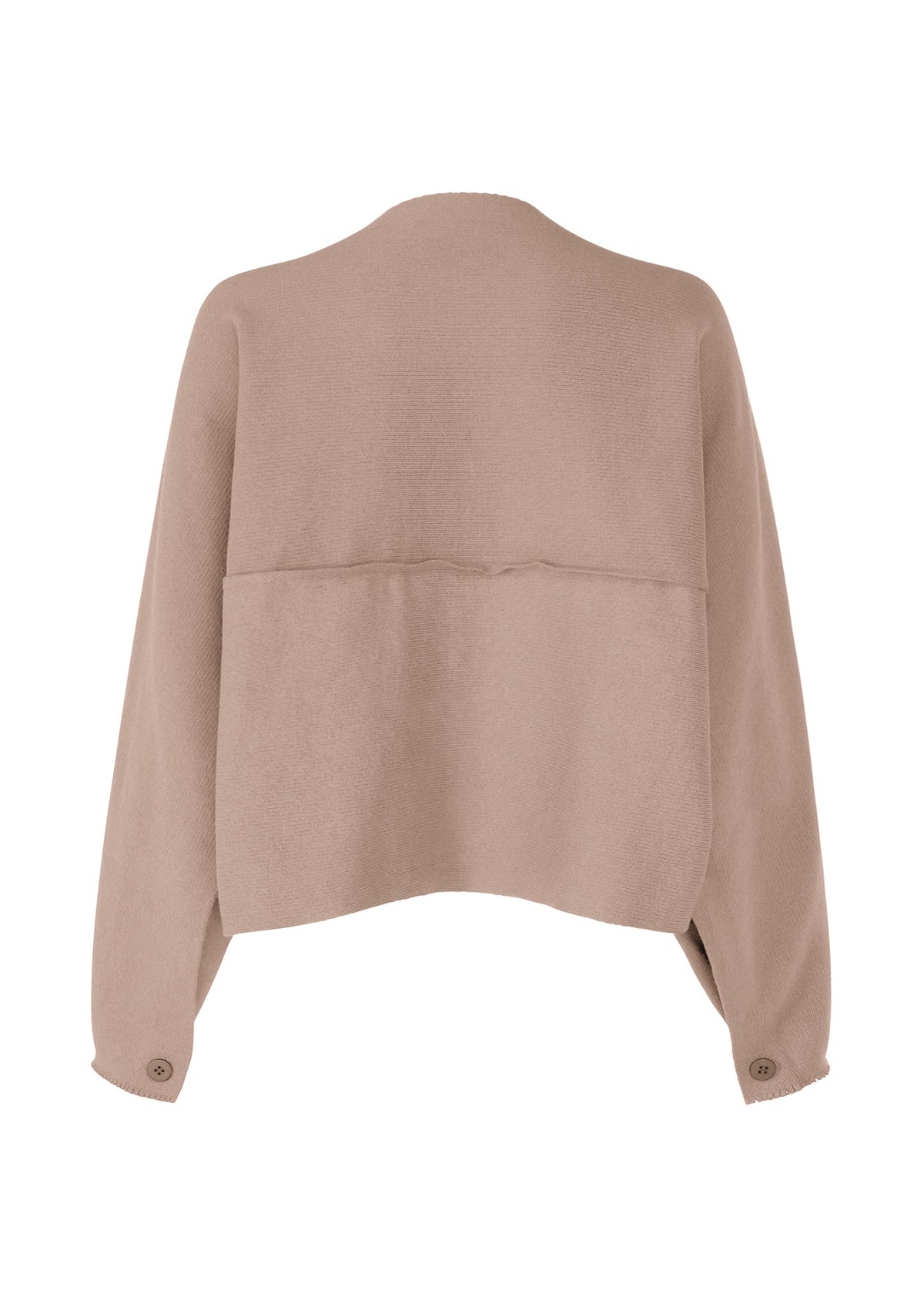 Zoomed view The CAMPAGNE jacket by ISSEY MIYAKE features a beige, long-sleeve, loose fit crafted from stretchy material, with a seam across the upper back and buttoned cuffs shown from the back view.