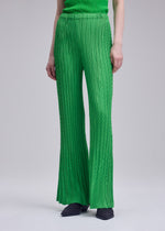 A person wearing ISSEY MIYAKE's UNFURLING PLEATS wide-leg pants and a matching green top, paired with black pointed shoes; the photo is cropped below the shoulders against a plain background.