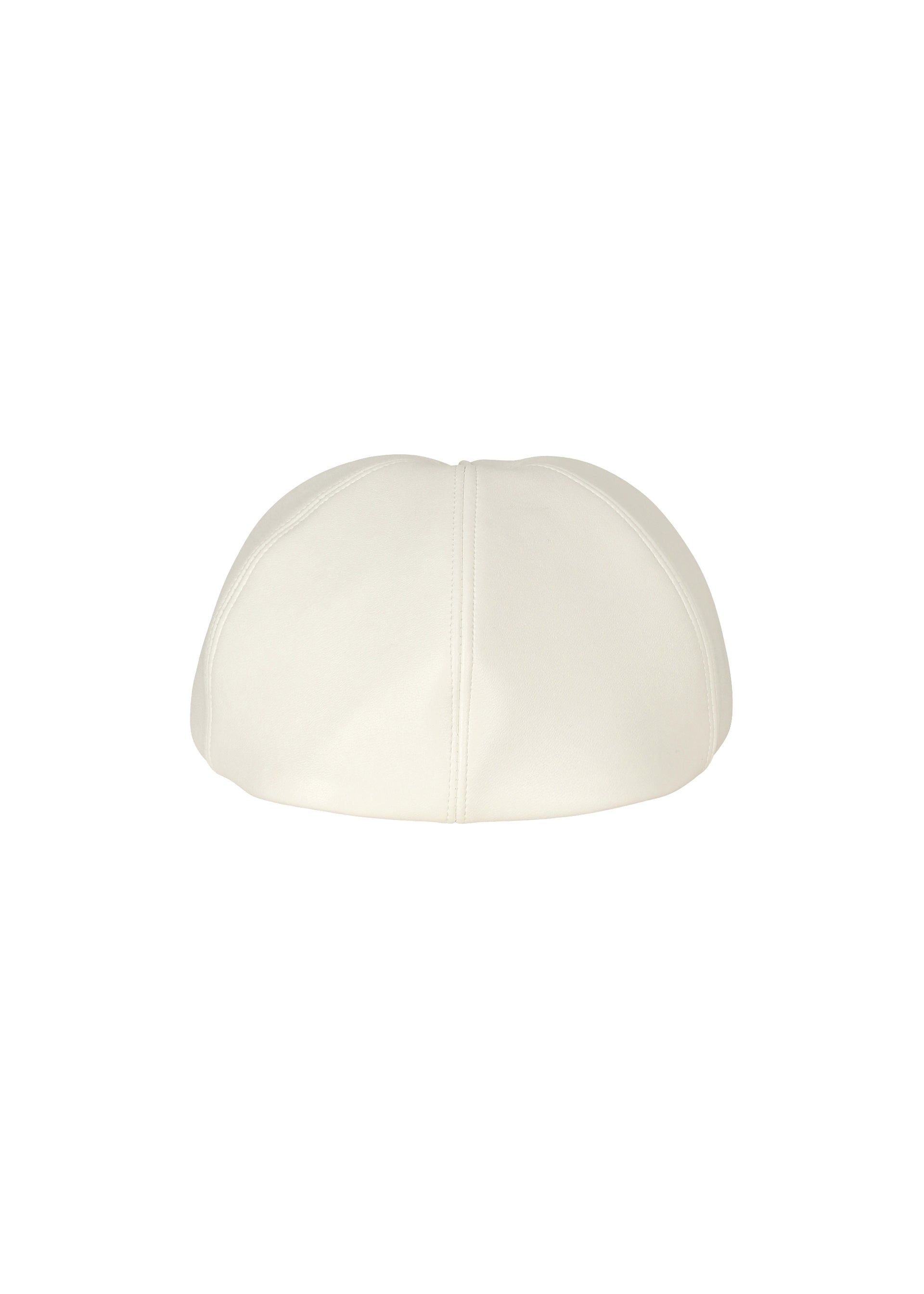 Zoomed view PIGEON CAP