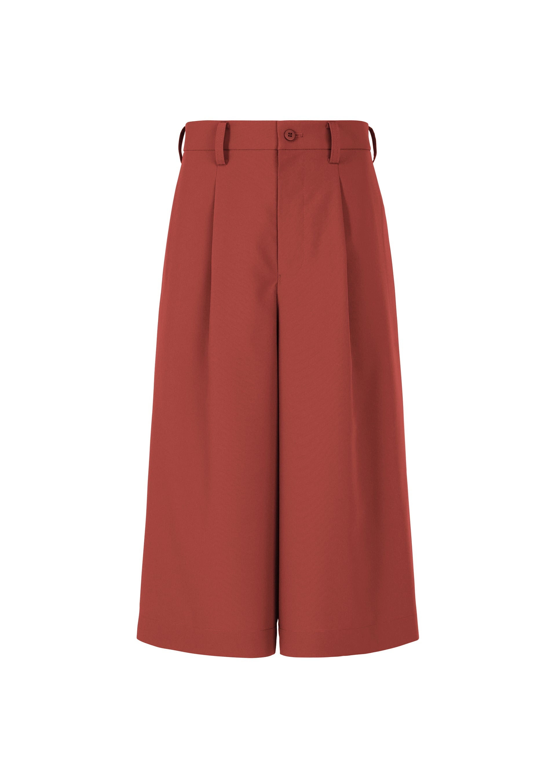 Zoomed view WINGS - DARK RED （no.25）