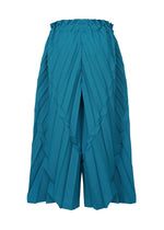 TREE PLEATS PANTS