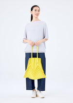 STAR PLEATS BAG