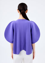 CLOVER PLEATS