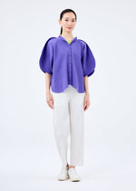 CLOVER PLEATS