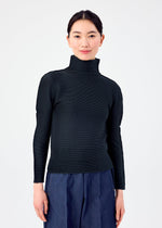 STRETCH PLEATS 4