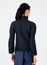 STRETCH PLEATS 4