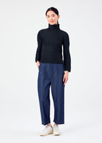 STRETCH PLEATS 4