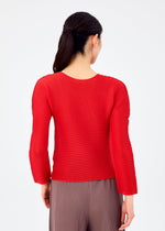 STRETCH PLEATS 5