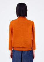 DOLMAN STRETCH PLEATS 3