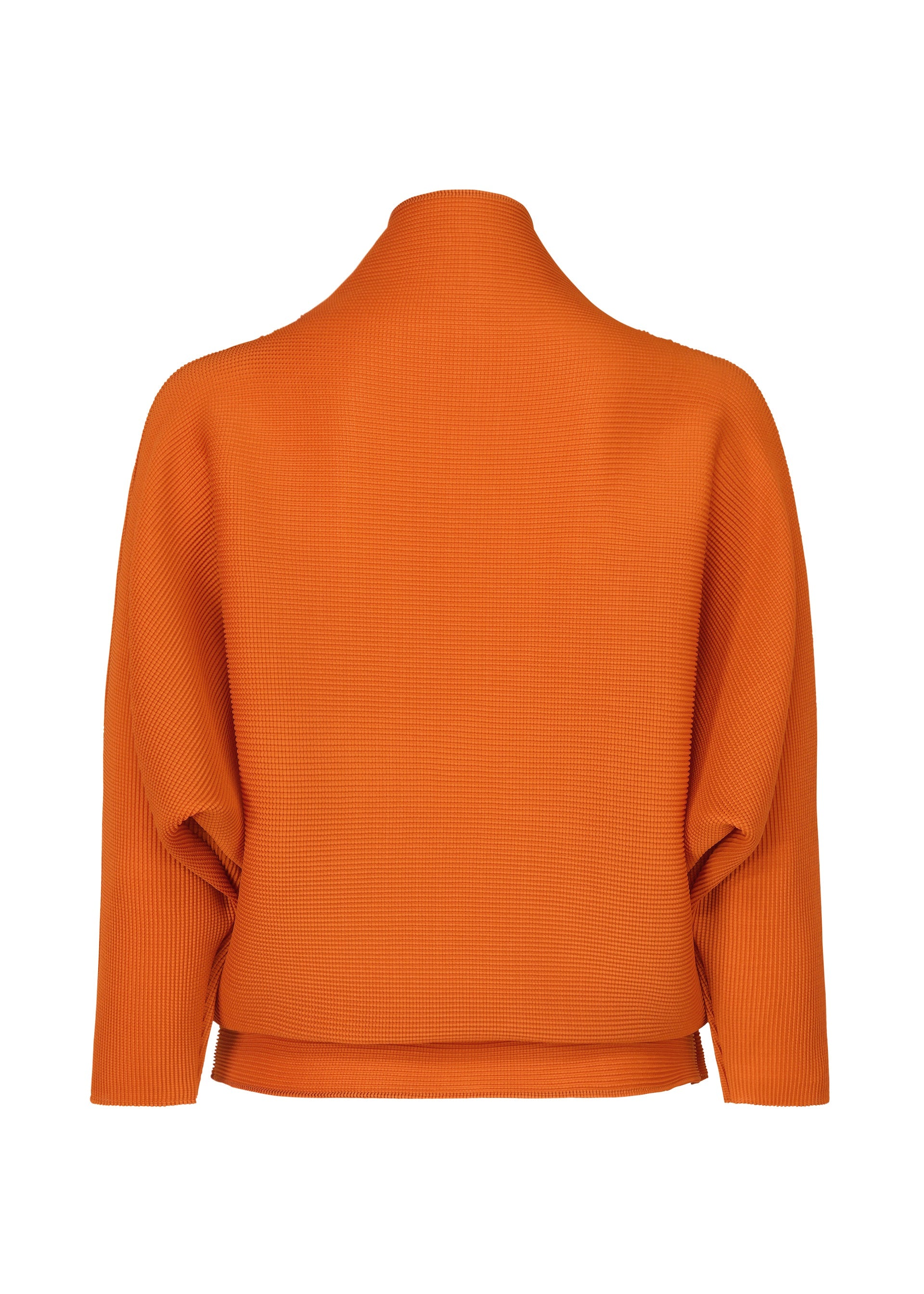 Zoomed view DOLMAN STRETCH PLEATS 3