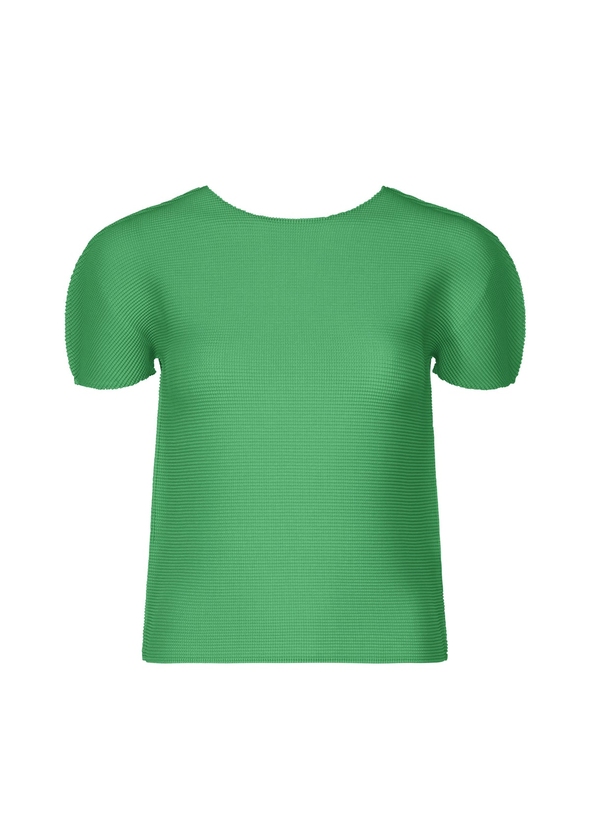 STRETCH PLEATS 1