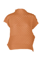 ZIG ZAG PLEATS