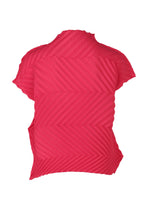 ZIG ZAG PLEATS