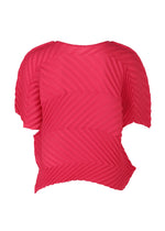 ZIG ZAG PLEATS