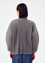 CORDUROY PLEATS