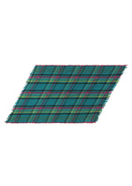 CHECK PLEATS STOLE