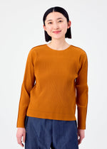 FINE KNIT PLEATS COLOR 2
