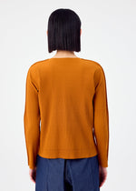FINE KNIT PLEATS COLOR 2