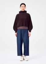 ROUND PLEATS