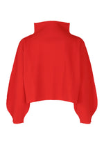 ROUND PLEATS