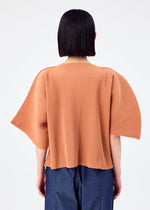 CURVE PLEATS