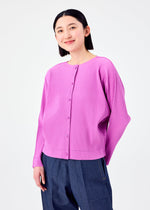 FINE KNIT PLEATS COLOR 1