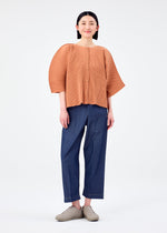 CURVE PLEATS