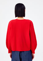 ROUND PLEATS